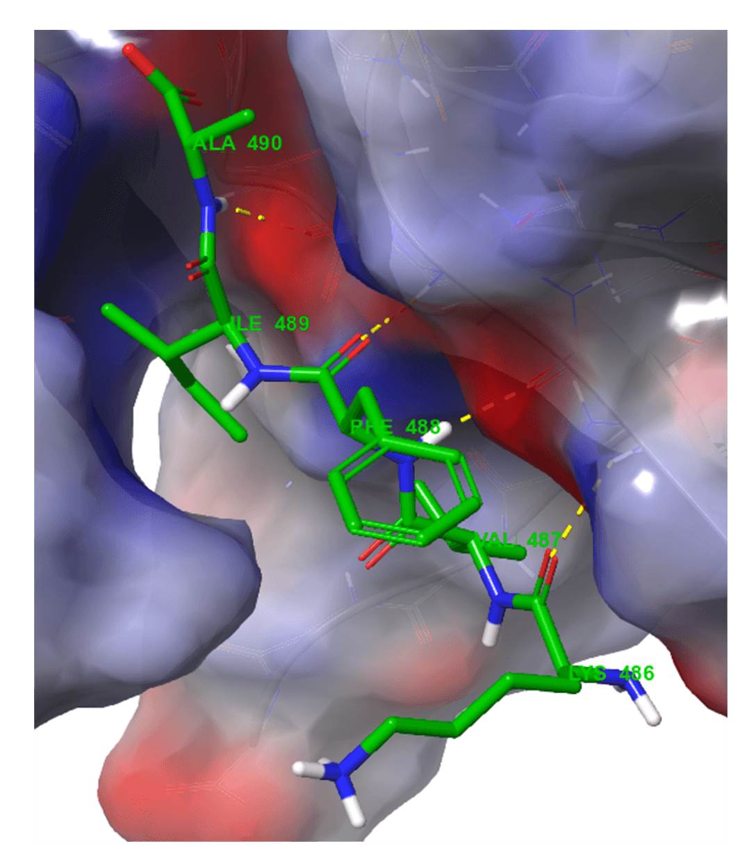 Molecular structure visualization